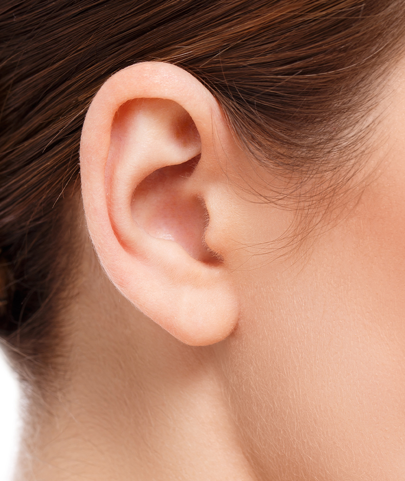 Photo of a woman's ear