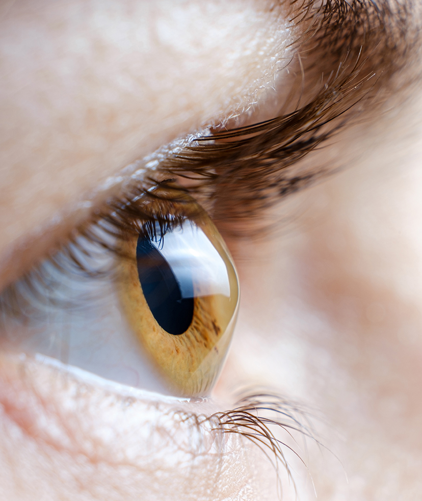 Photo of a person's brown eye with thin eyelashes