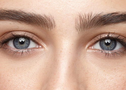Photo of a woman's eyes, brows, and lashes